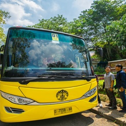 Bus Kuning